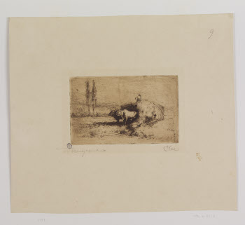 Visualizza l'immagine "Mod. p. 36-8"